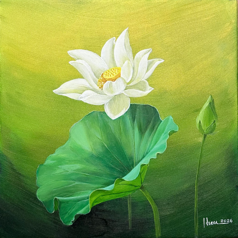 sen6